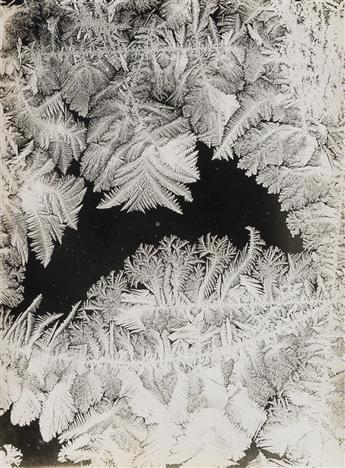 WILSON A. BENTLEY (1865-1931) Group of 5 photographs of frost.